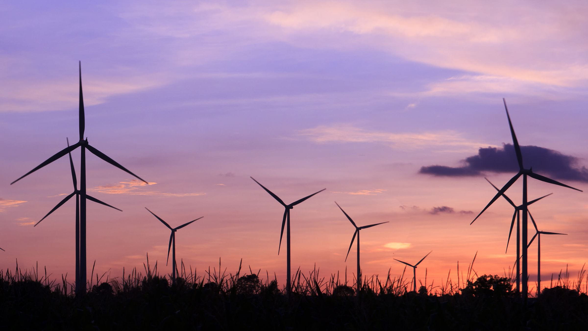 Wind turbines in field at twilight