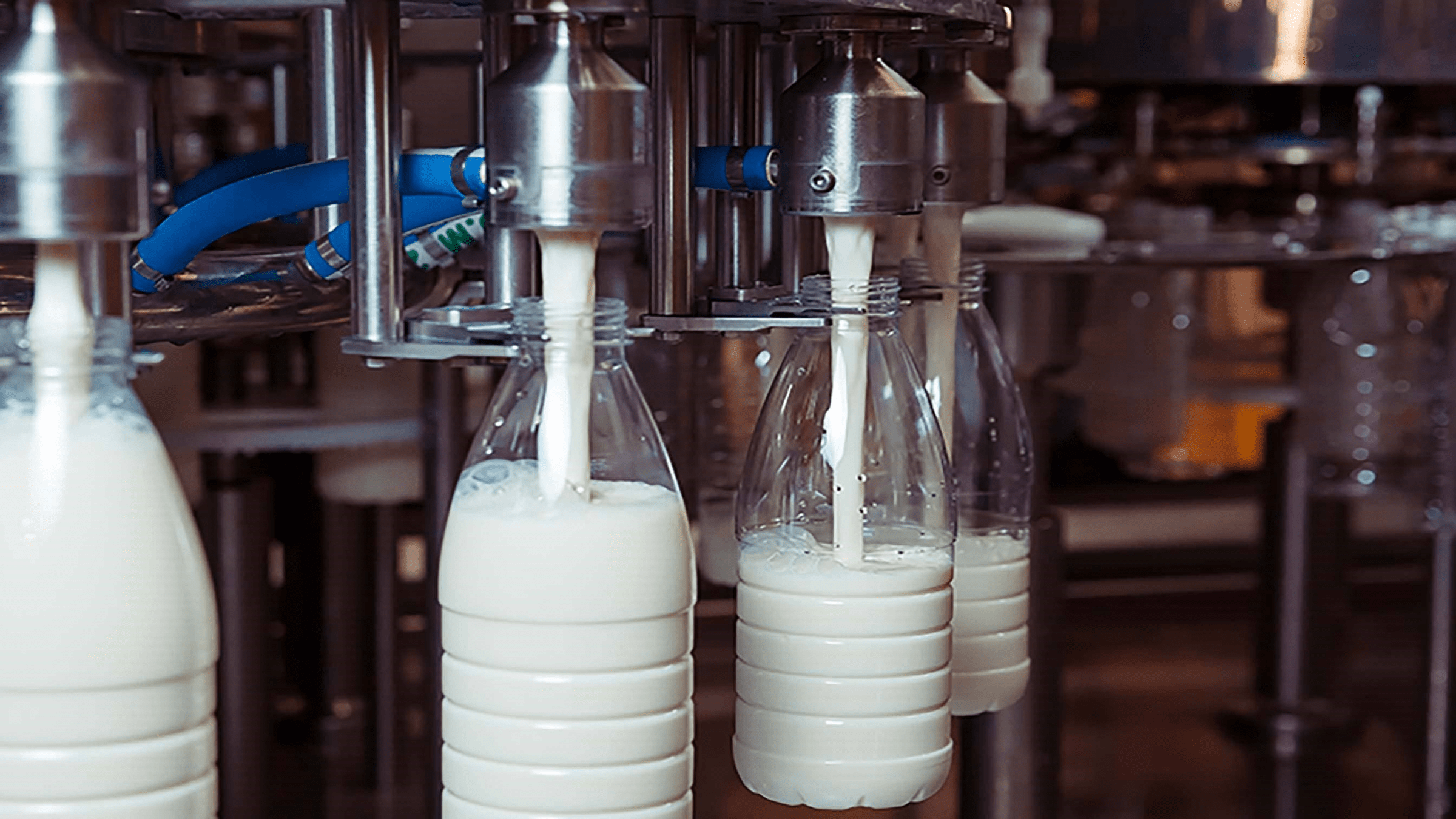 milk process