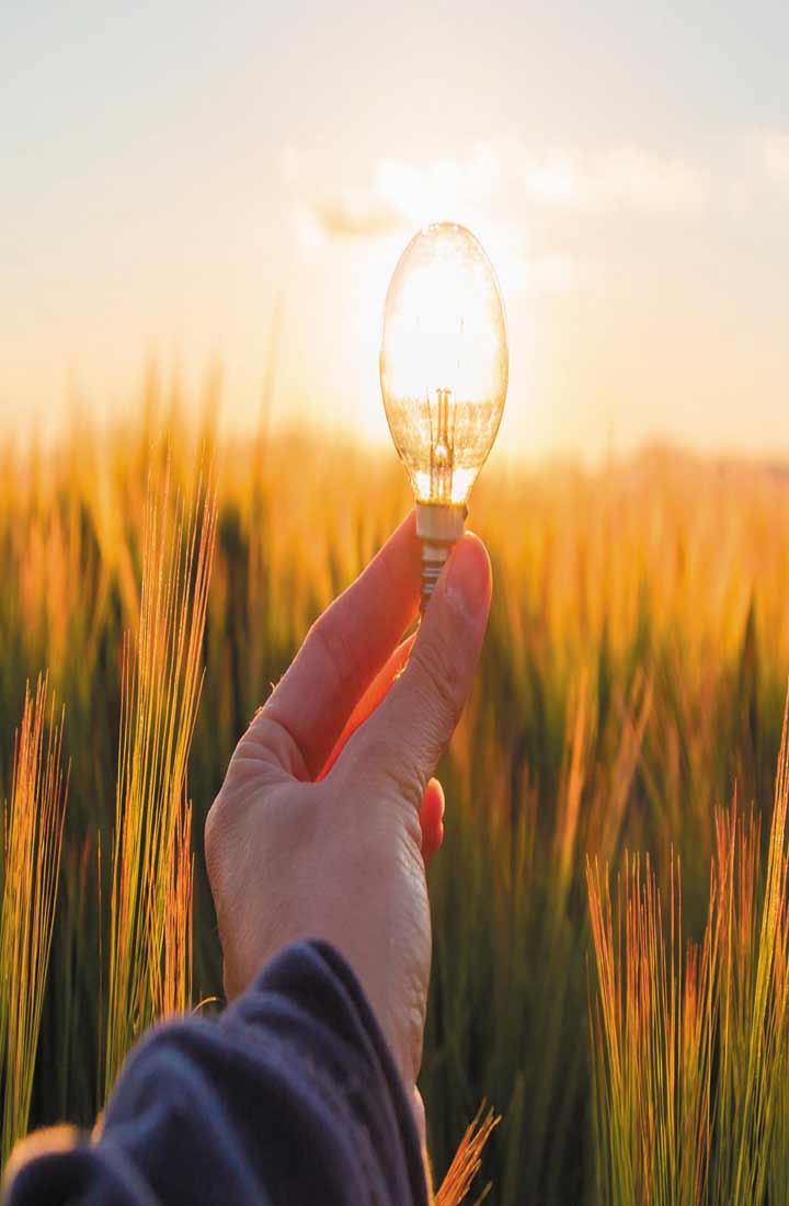 A hand holding a lightbulb in a wheat field, surrounding the faraway sun