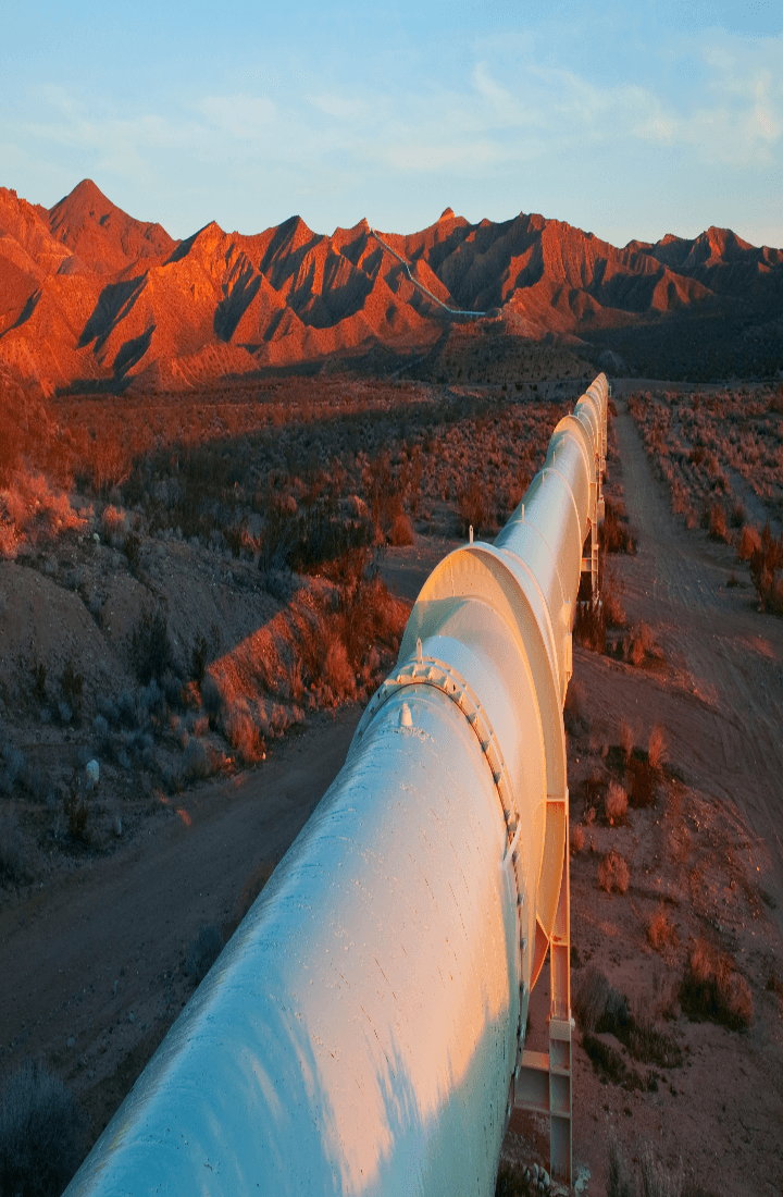 Vital pipeline construction