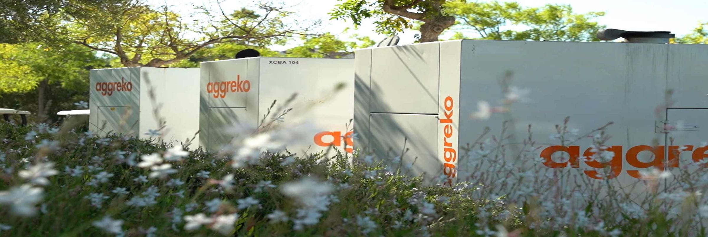 A row of Aggreko equipment and in front of them is a floral bush of some desciption.
