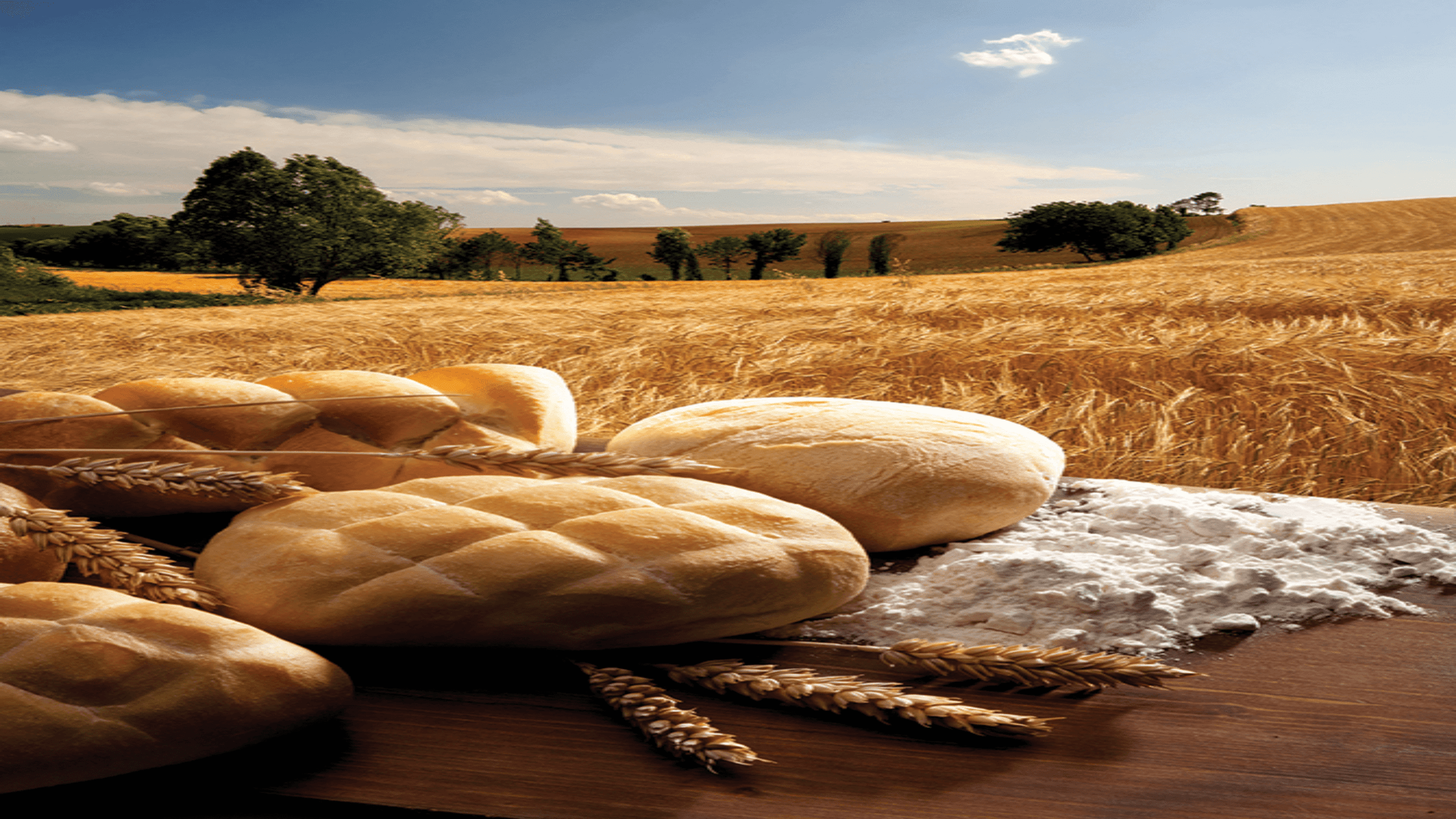 Bakery goods in a field of wheat