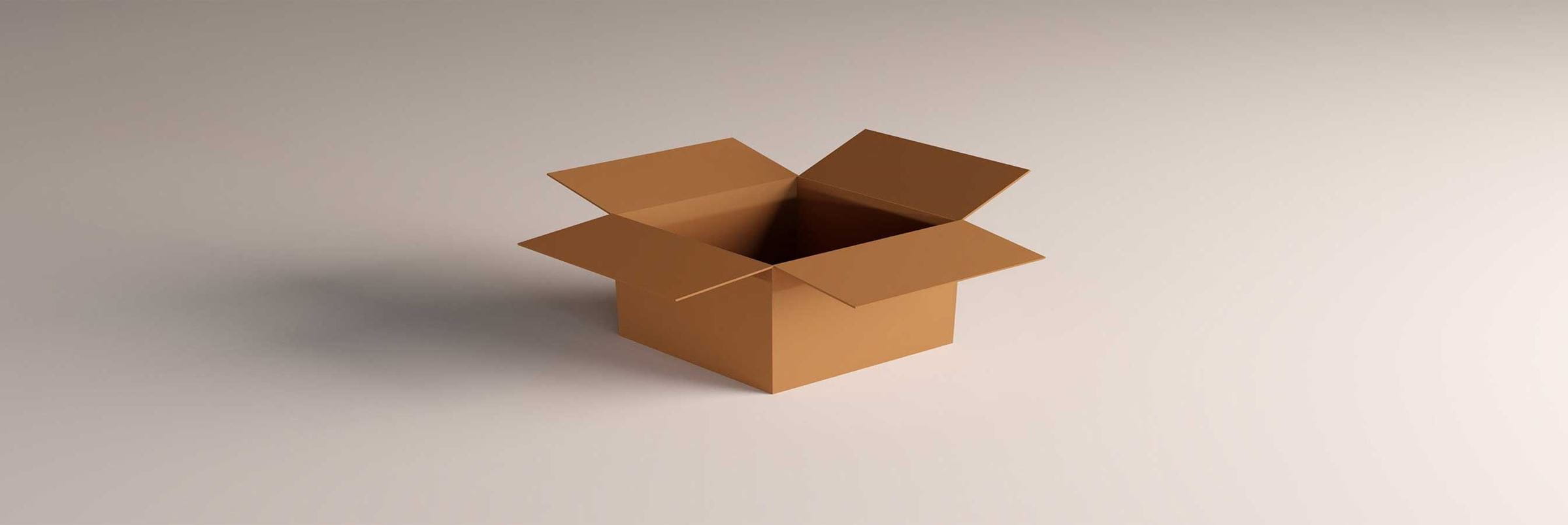 A solitary open cardboard box